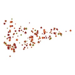 Autumn Leaf background