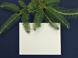 Empty paper sheet with natural conifer branch on blue table.