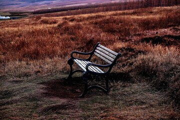 On the climb to the Litlanesfoss waterfall, East Iceland, a bench to rest. Thanks Icelanders