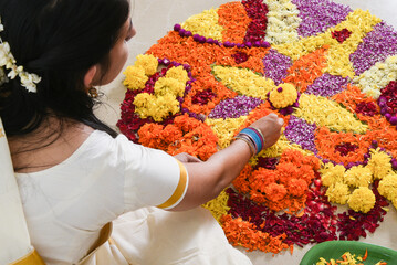 Kerala Onam festival, Indian woman putting Flower bed or Pookalam decoration, seamless floral...