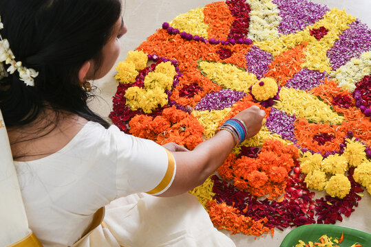 Kerala Onam festival, Indian woman putting Flower bed or Pookalam decoration, seamless floral pattern of tropical fresh flowers on Onam, Vishu celebration of Kerala, India. Indian festival Diwali.
