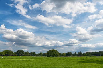 Panorama view of beautiful greenery park, green field and tree with vivid blue cloudy sky in Tokyo, Japan. Many of people come out and spend recreation time and activity during summer and sunny day.
