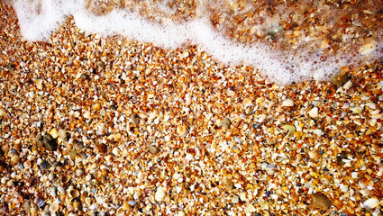 A beach consisting entirely of small shells.