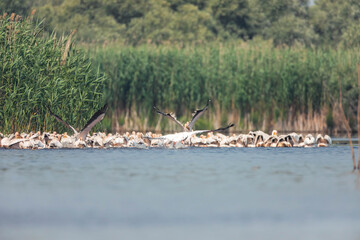 Returnig to the community