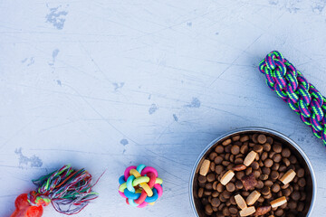 Pet care, playing and training concept. Toys, accessories and dry dog food on the grey background. Top view. Space for a text.