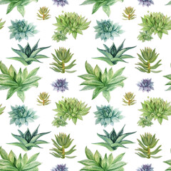 Seamless pattern watercolor hand-drawn green succulent haworthia, aloe vera, echeveria home plant on white. Art creative nature background for card, sticker, wallpaper, textile or wrapping