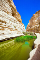 The canyon Ein Avdat
