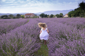 Fototapeta na wymiar little girl running in lavender field