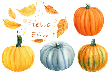 Autumn harvest. Set of pumpkins, yellow leaves on isolated white background, watercolor illustration