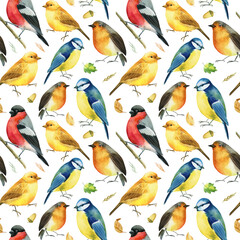 Obraz premium Bullfinches, titmice, canaries, robin birds. Watercolor, digital paper. Seamless pattern.