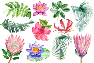 Boho beach tropical floral, flowers and leaves watercolor. Isolated white background, botanical illustration, clipart