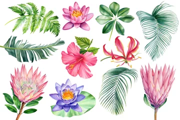 Zelfklevend behang Tropische planten Boho strand tropische bloemen, bloemen en bladeren aquarel. Geïsoleerde witte achtergrond, botanische illustratie, clipart