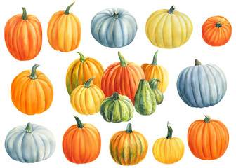Set of pumpkins on isolated white background, watercolor illustration, clipart