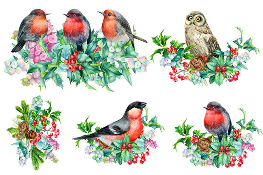 Christmas composition, watercolor drawings, winter birds, holly branches