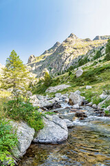 Paysage de montagne dans le Mercantour dans les Alpes
Mountain landscape in Mercantour park in French Alps