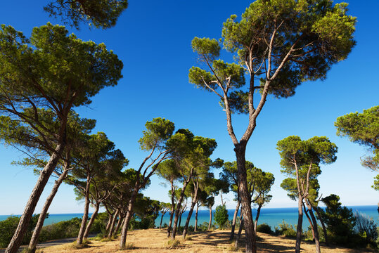 Relax in una calma localit&agrave; turistica del centro Italia