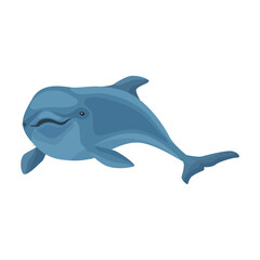 Dolphin vector icon.Cartoon vector icon isolated on white background dolphin.