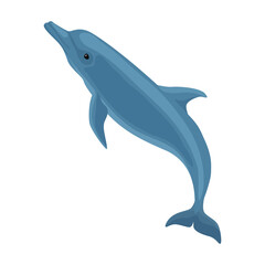 Dolphin vector icon.Cartoon vector icon isolated on white background dolphin.