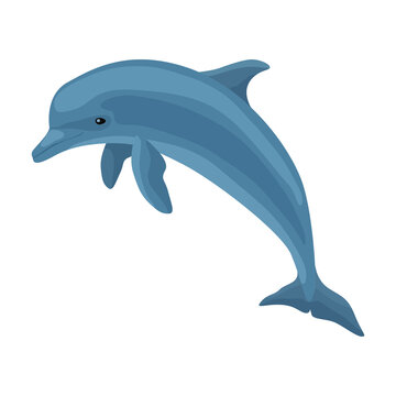 Dolphin vector icon.Cartoon vector icon isolated on white background dolphin.