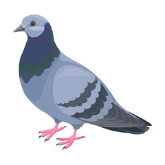 Pigeon vector icon.Cartoon vector icon isolated on white background pigeon.