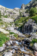 Paysage de montagne dans le Mercantour dans les Alpes
Mountain landscape in Mercantour park in French Alps