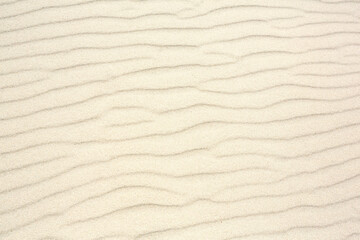Fototapeta na wymiar Sand as background texture. Wavy pattern of the wind.