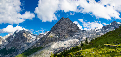 Fototapeta premium Der Ortler