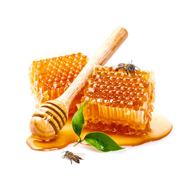 Honeycomb with bee and honey dipper isolate on white banner background, bee products by organic natural ingredients concept