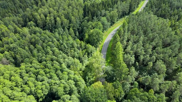 Aerial view of cars driving along winding road through beautiful lush green forest