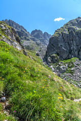Paysage de montagne dans le parc du Mercantour dans le Sud des Alpes 
Mountain landscape in Alps