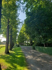 road in the park