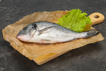 Raw Dorada fish  for cooking