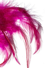 Pink feathers on a white background, abstract background, Fantasy, abstraction, soft color art design, creative, roaring 20