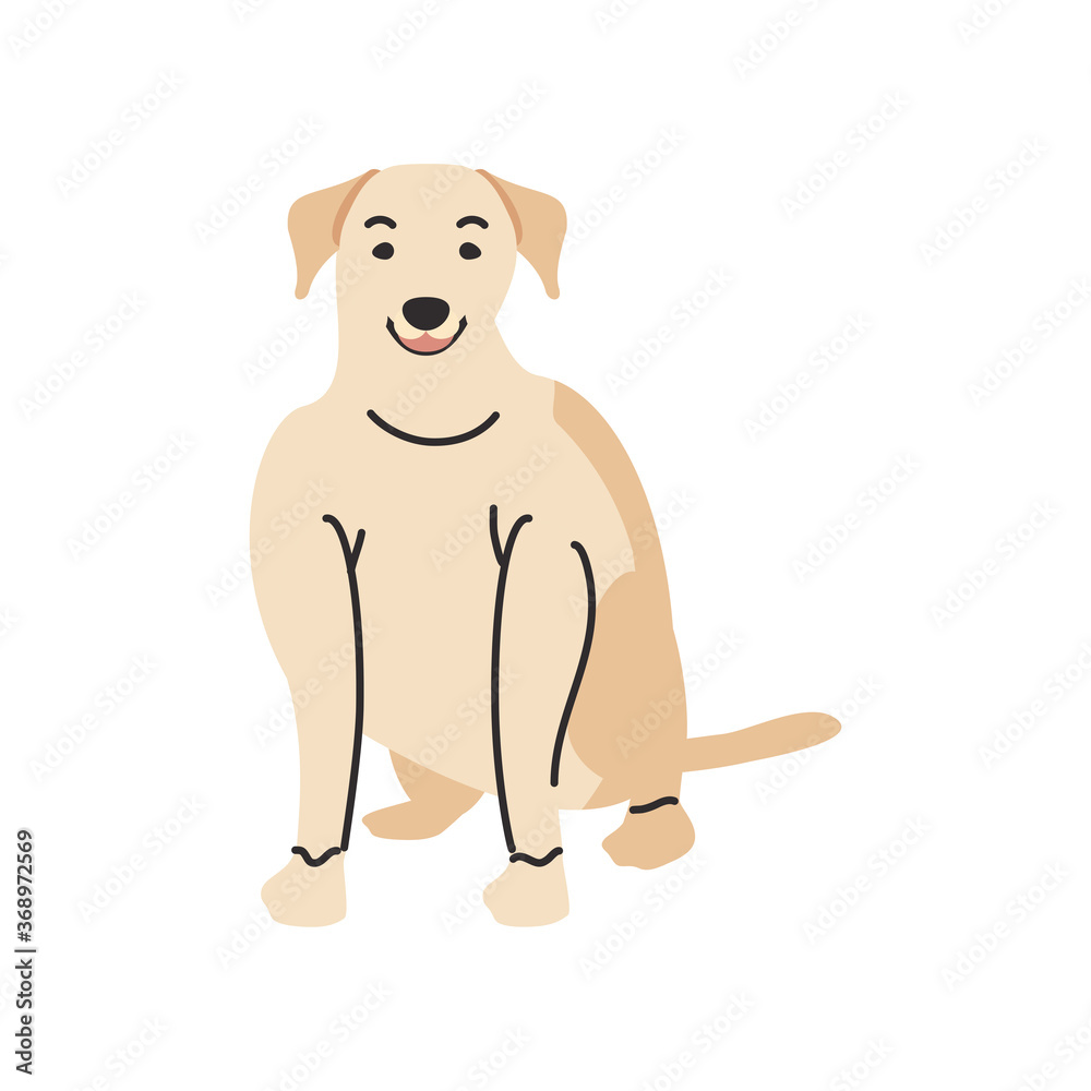 Poster cute pet dog on white background