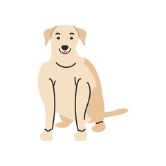 cute pet dog on white background