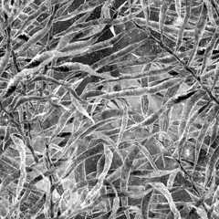 Tropical seamless pattern.  Fashion hand drawn 