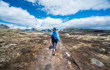 Fototapeta premium Female hiker walks towards moutnain scenery on a hot summer day. Blue sky and snow capped peaks.