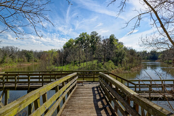 Plakat A wooden Pier or Viewpoint at a bend in the River Brazos, at Brazos Bend State Park in Texas, under a sunny blue sky in March.
