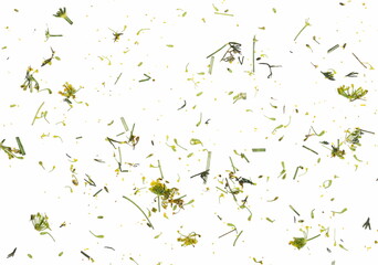 Fresh green chopped up dill with yellow flowers pile isolated on white background, top view texture