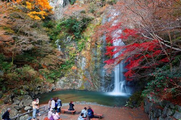 Beautiful scenery of a grand waterfall tumbling down the vertical rocky cliff into a green pond surrounded by colorful autumn foliage in Meiji no Mori Minoh National Park in Osaka, Kansai, Japan