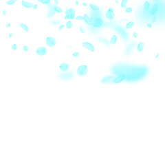 Turquoise flower petals falling down. Classy roman