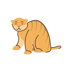 cute domestic cat on white background