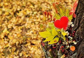 red heart of felt on a tree branch against the background of yellow leaves and forest. Copy space, space for text.