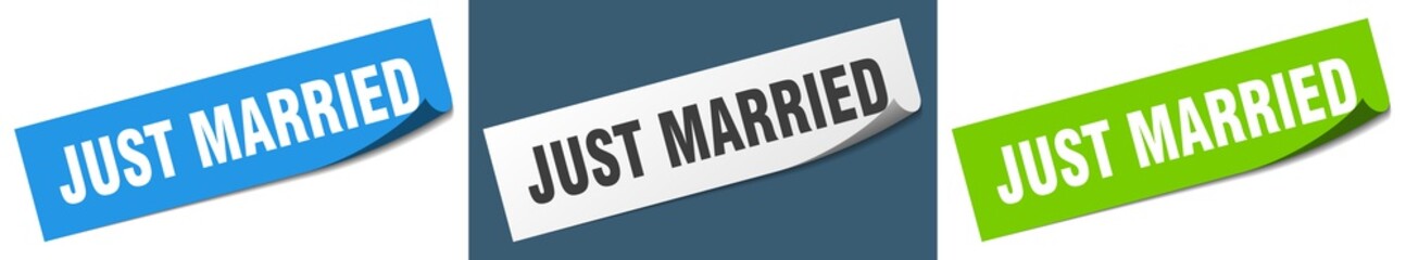 just married paper peeler sign set. just married sticker