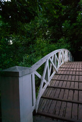 wooden bridge in the park