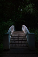 bridge in the park