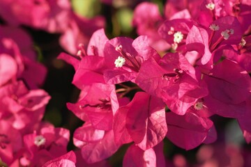 Holidays in Belek, Turkey. Summer 2020