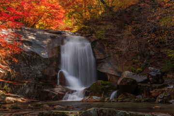 Fototapeta na wymiar Beautiful autumn waterfall,red and yellow colorful tree leaves with stream of mountain.C