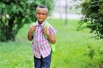 Naklejka na ściany i meble a small child, an African-American schoolboy in a checked shirt, glasses and carrying a school bag or backpack, smiles against the background of a Park. Back to school, education, knowledge Day.