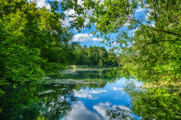 View onto lake in frame of forest trees. Blue sky & its clouds reflecting in waters as in the mirror